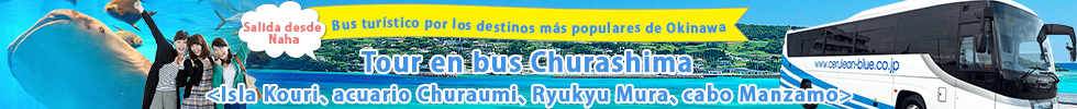Bus turístico por Okinawa