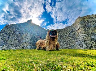 中城城跡演舞イメージ