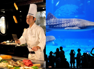 バス＆ディナー